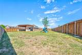 3640 Chestnut Oak Drive - Photo 30