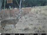 3000 Nech Ranch Court - Photo 21