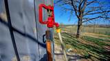 4179 Rock Springs School Road - Photo 23