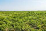262.71 Acres Fm 1191 - Photo 3