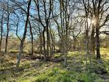 TBD 20.02 acres Cr 328 - Photo 2