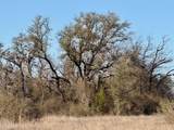 TBD 20.02 acres Cr 328 - Photo 26