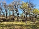 TBD 20.02 acres Cr 328 - Photo 29
