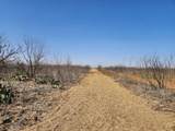12929 County Road 356 - Photo 3