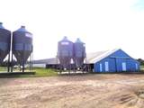 TBD Woodchuck - Photo 6