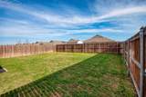1007 Lady Bird Street - Photo 17