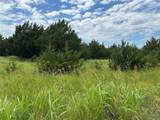 Lot 6 Lemonade Lane - Photo 14