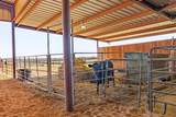 10830 Tango Road - Photo 17