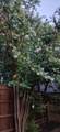 1801 Old Oak Drive - Photo 30