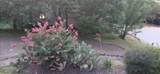 1801 Old Oak Drive - Photo 33