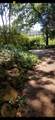 1801 Old Oak Drive - Photo 35