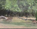 130 Parsonage Street - Photo 37