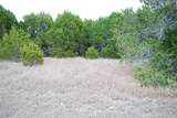 43111 Indian Blanket Drive - Photo 1