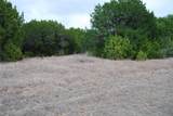 43111 Indian Blanket Drive - Photo 5