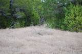 43111 Indian Blanket Drive - Photo 6