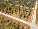 1401 Cirrus Loop - Photo 3