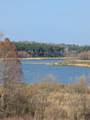 7710 Shore Crest Way - Photo 3