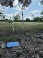 0000 County Road 3010 - Photo 15