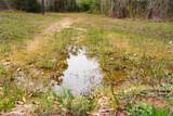 0 Off Of County Road 839 - Photo 35