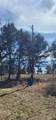 14612 County Road 1114 - Photo 21