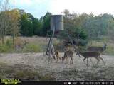 14612 County Road 1114 - Photo 27