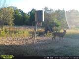14612 County Road 1114 - Photo 29