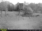 14612 County Road 1114 - Photo 31
