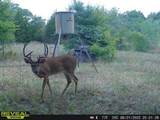 14612 County Road 1114 - Photo 33