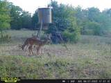 14612 County Road 1114 - Photo 34