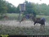 14612 County Road 1114 - Photo 35