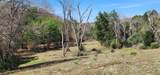 14612 County Road 1114 - Photo 6