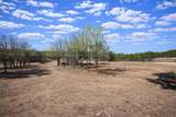 55 Crest Ridge Court - Photo 10