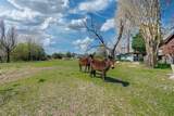 48 County Road 2360 - Photo 15