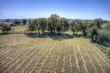 Lot 2 County Road 236 - Photo 3