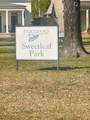 242 Sweetleaf Avenue - Photo 27