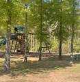 242 Sweetleaf Avenue - Photo 29