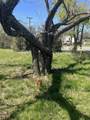 2312 Main Blvd - Photo 11