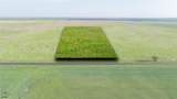 Lot 6 County Road 503 - Photo 1