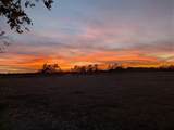 705 County Road 201 - Photo 4