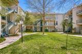 3105 San Jacinto Street - Photo 35