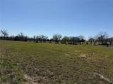 TBD Business Highway 377 - Photo 5