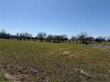 TBD Business Highway 377 - Photo 6