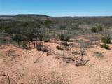 TBD County Rd 206 - Photo 8