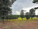 1840 County Road 1306 - Photo 16