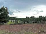 1840 County Road 1306 - Photo 28