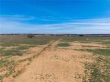 2573 County Road 234 - Photo 20