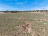 2573 County Road 234 - Photo 25