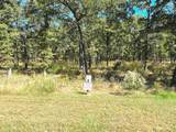 6924 Lakeshore Way - Photo 11