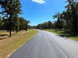 6924 Lakeshore Way - Photo 14