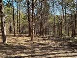 TBD Quail Creek Circle - Photo 20